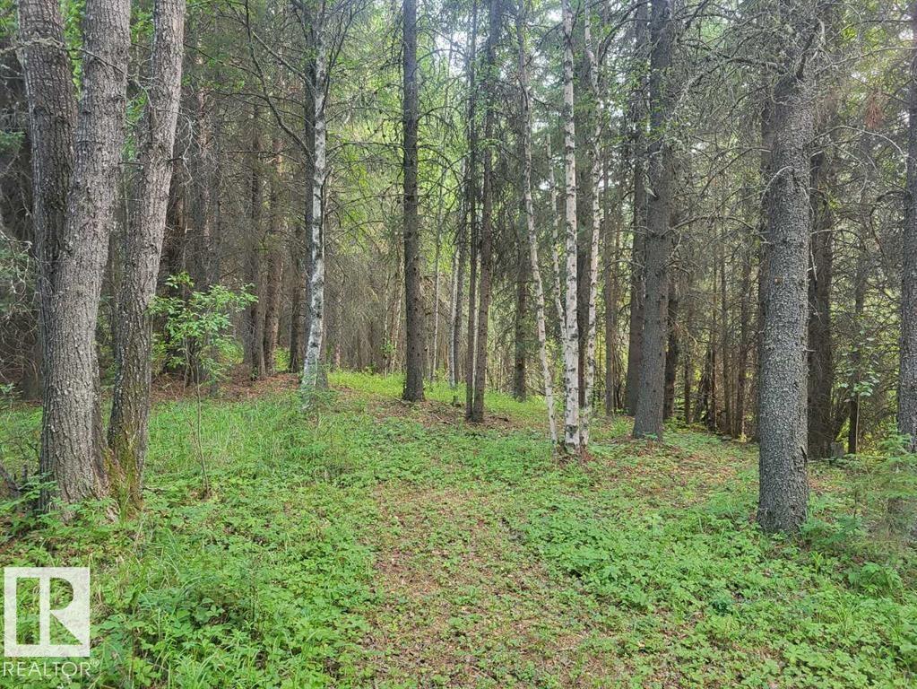 53305 Range Rd 111, Rural Yellowhead, Alberta  T7E 5A6 - Photo 26 - E4452325