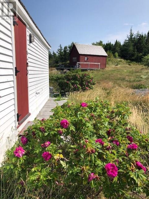 1 Indian Arm Road, Summerville, Newfoundland & Labrador  A0C 2N0 - Photo 11 - 1289005