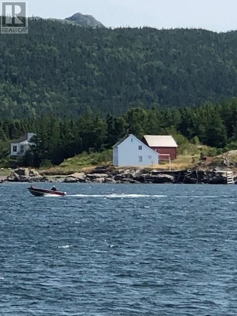 1 Indian Arm Road, Summerville, Newfoundland & Labrador  A0C 2N0 - Photo 4 - 1289005