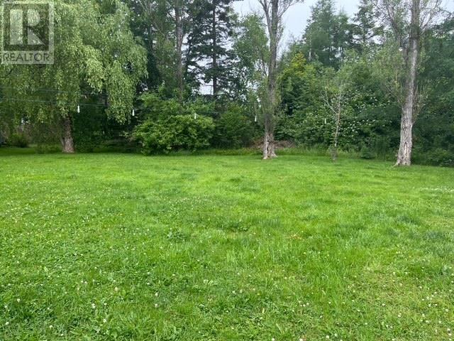 82 High Street, Baddeck, Nova Scotia  B0E 1B0 - Photo 4 - 202516626