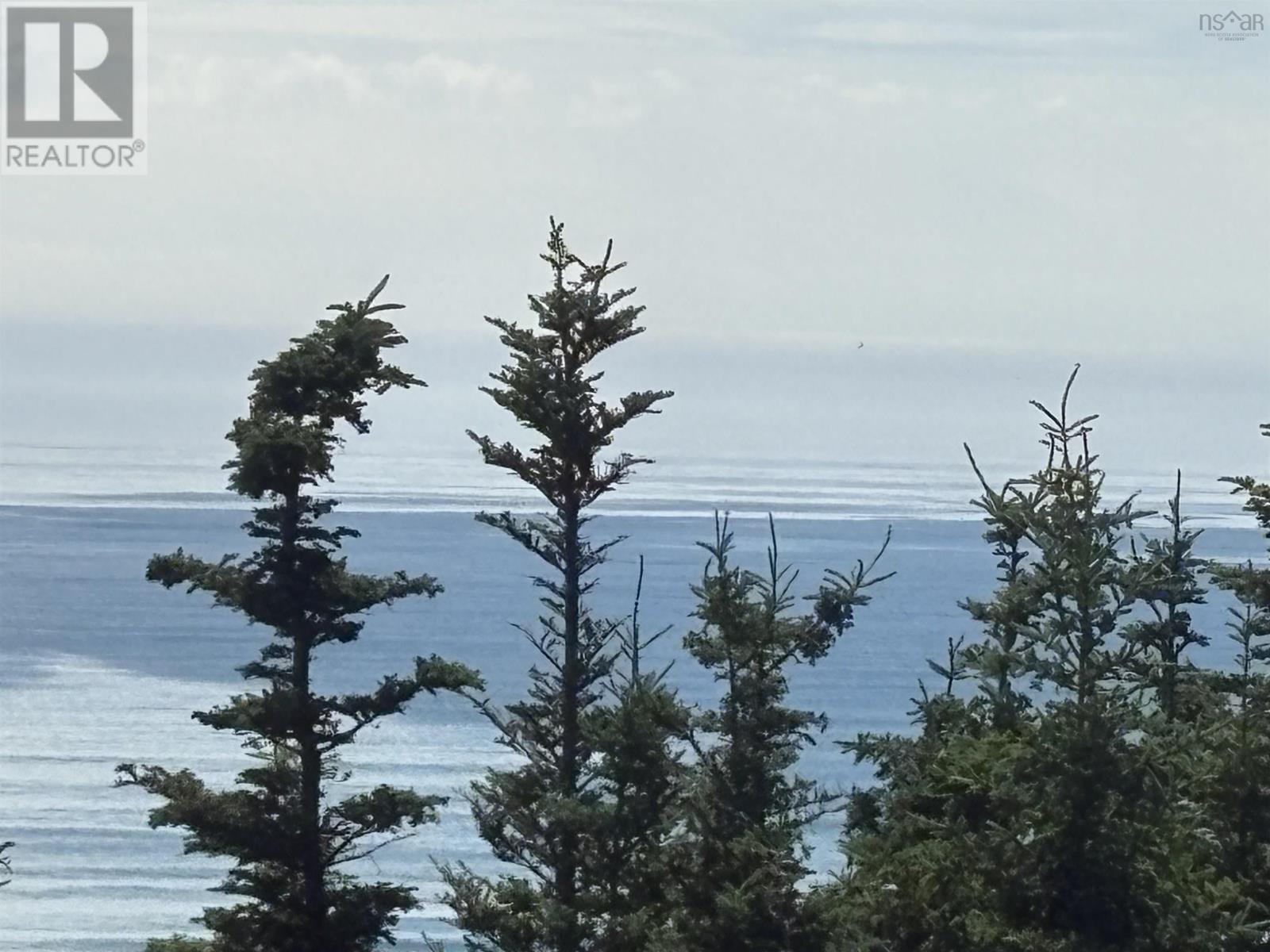 24 Oceanic Drive, East Lawrencetown, Nova Scotia  B2Z 1P4 - Photo 28 - 202517606