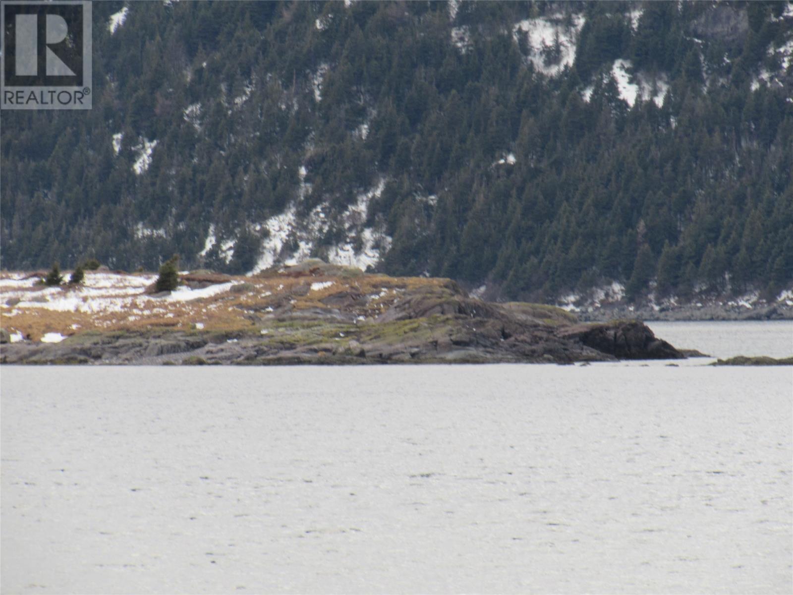 43 Cove Road, Colliers, Newfoundland & Labrador  A0A 1Y0 - Photo 11 - 1286055