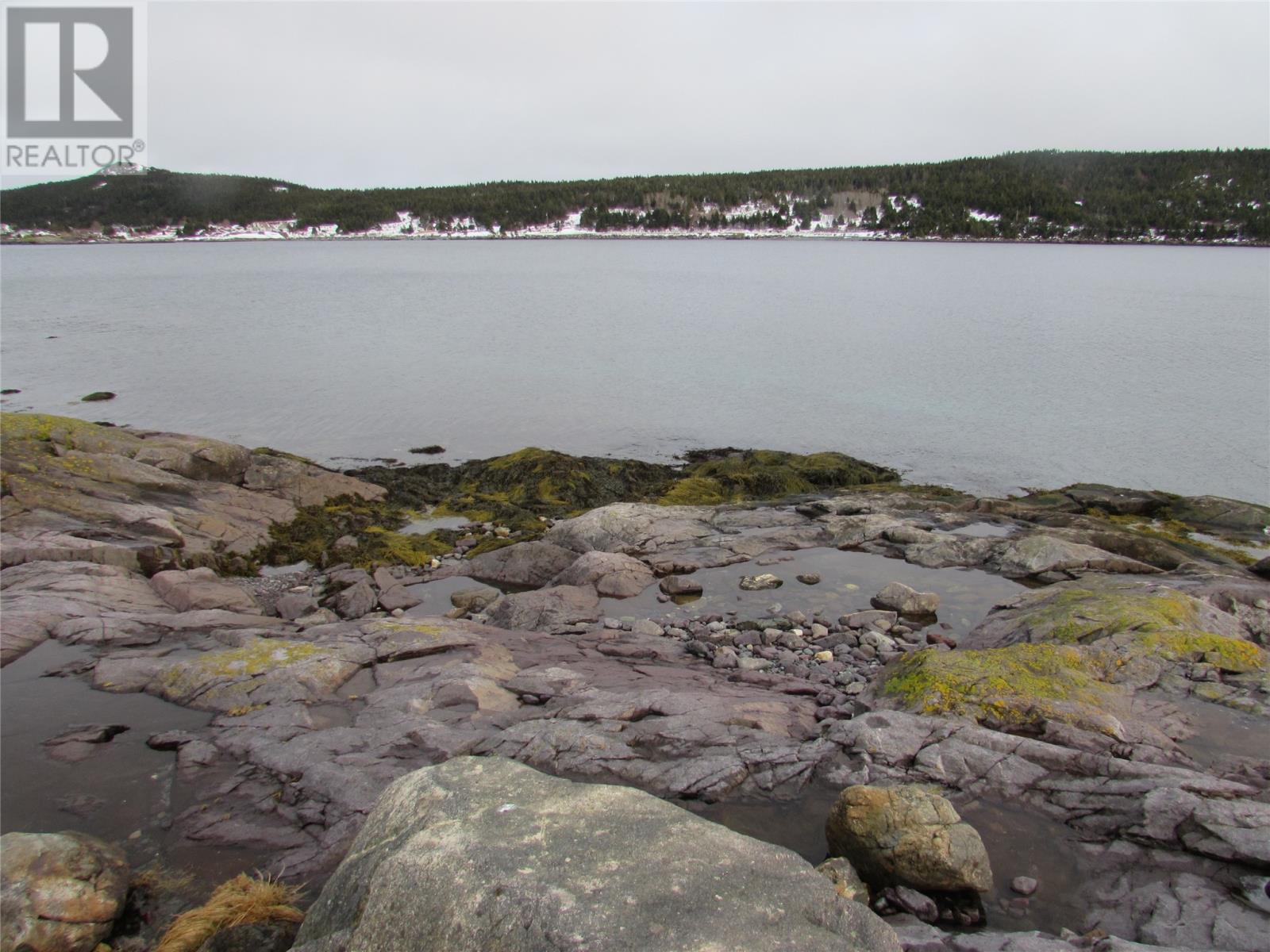 43 Cove Road, Colliers, Newfoundland & Labrador  A0A 1Y0 - Photo 12 - 1286055