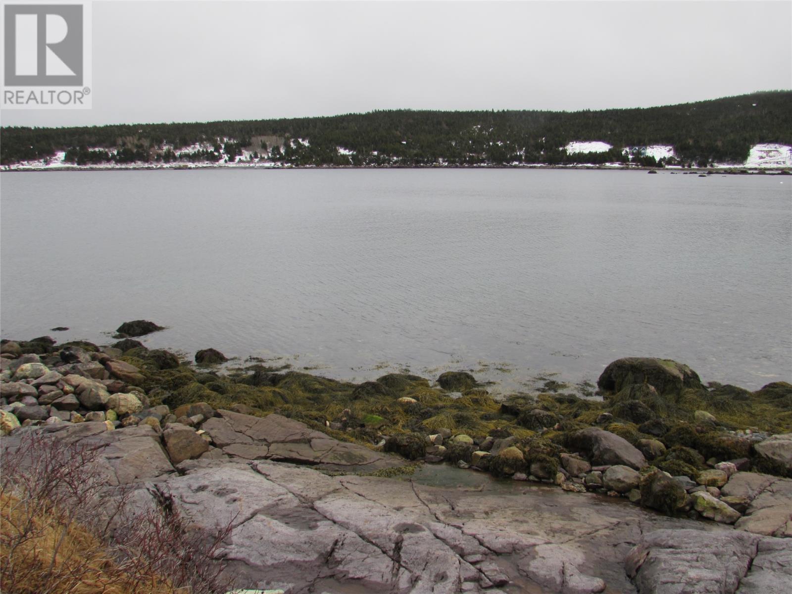 43 Cove Road, Colliers, Newfoundland & Labrador  A0A 1Y0 - Photo 2 - 1286055