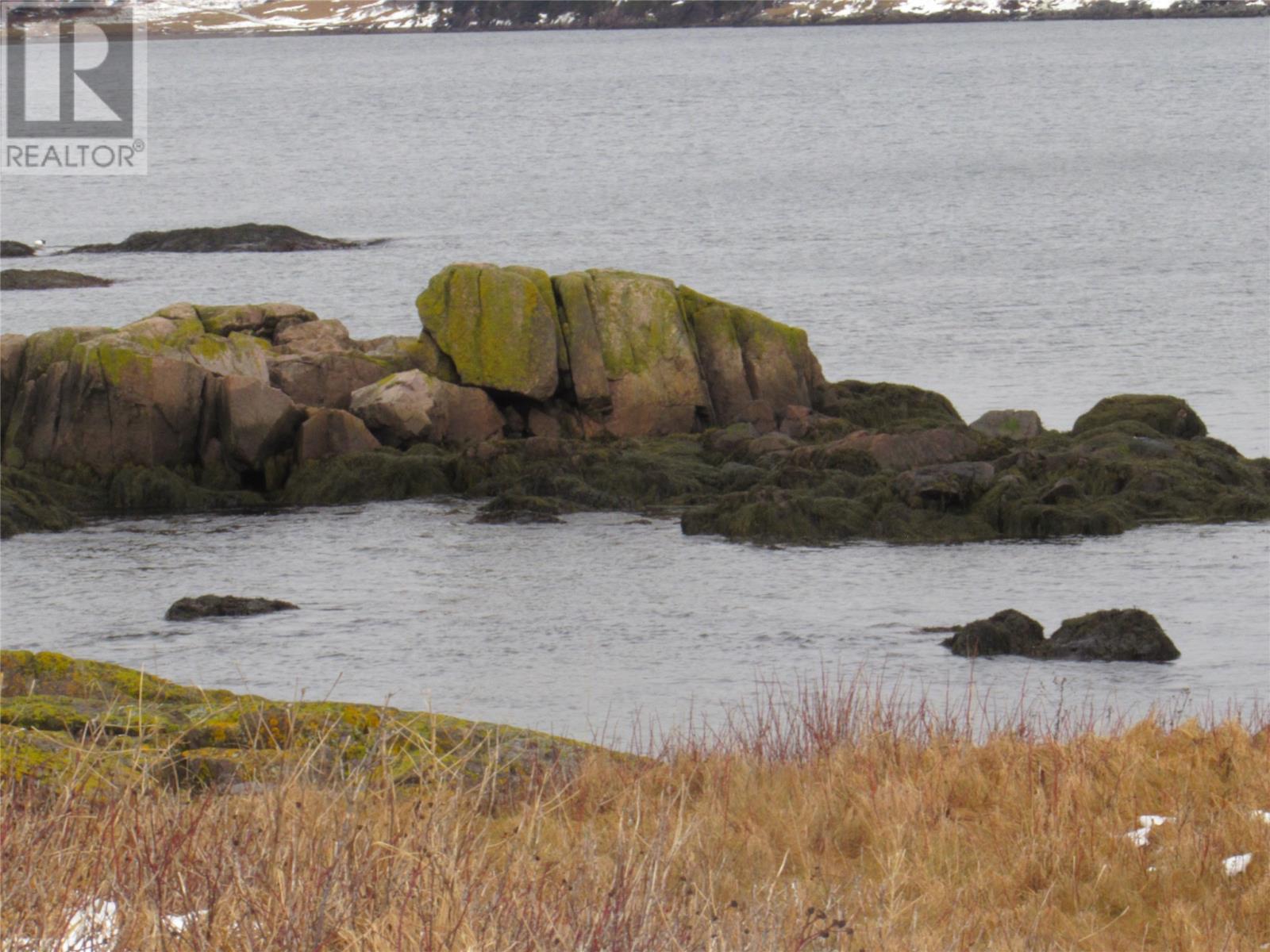 43 Cove Road, Colliers, Newfoundland & Labrador  A0A 1Y0 - Photo 4 - 1286055