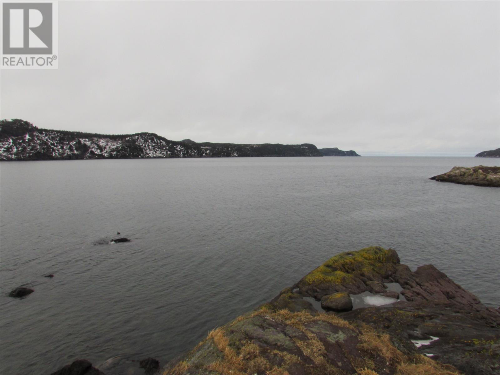 43 Cove Road, Colliers, Newfoundland & Labrador  A0A 1Y0 - Photo 7 - 1286055