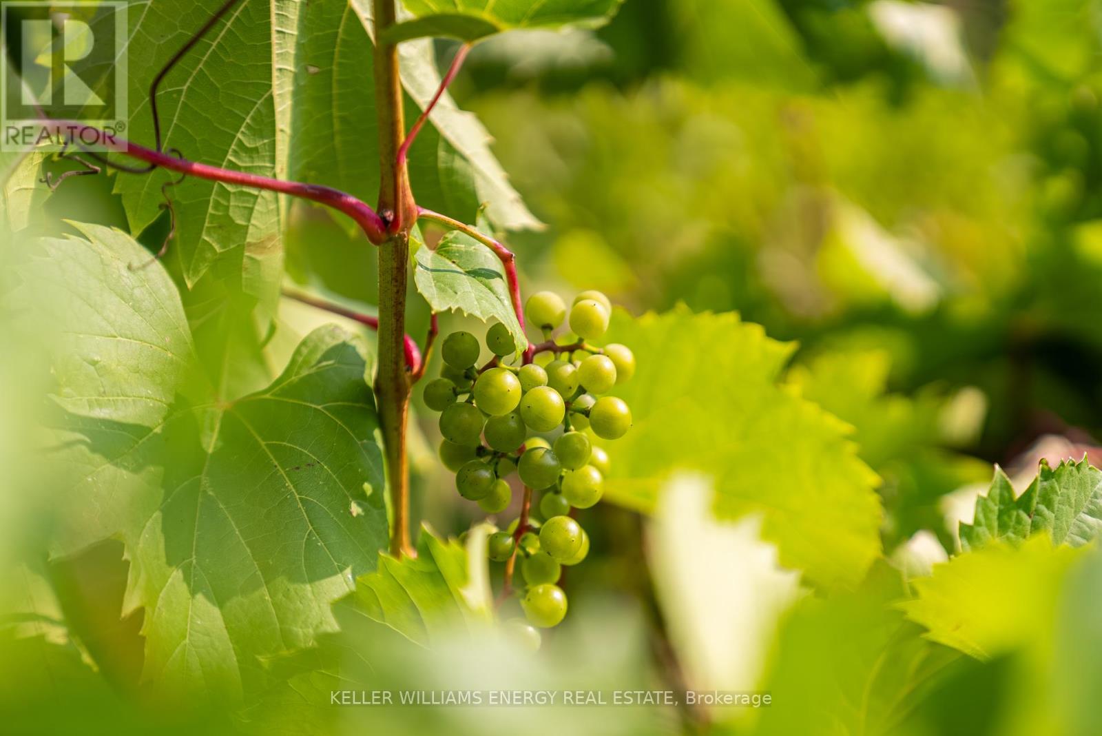 804 Closson Road, Prince Edward County, Ontario K0K 2J0 - Photo 13 - X12336496