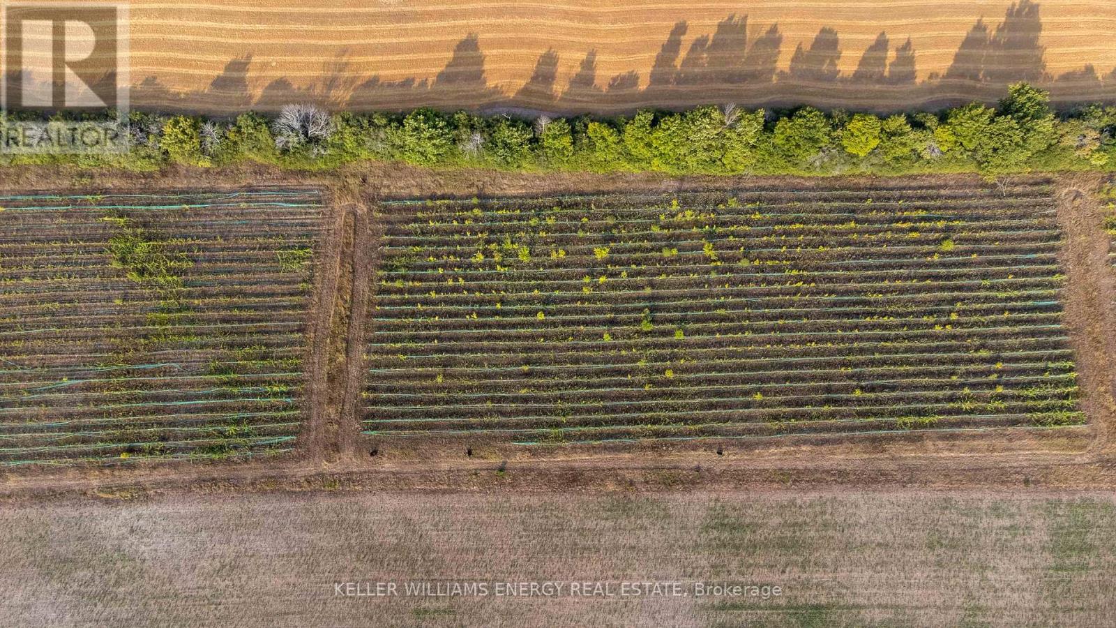 804 Closson Road, Prince Edward County, Ontario K0K 2J0 - Photo 39 - X12336496