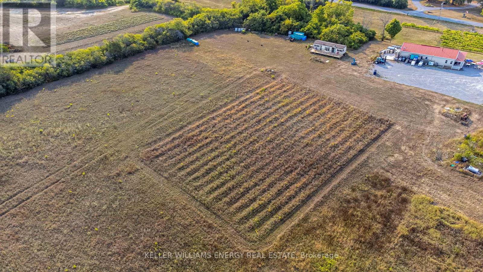 804 Closson Road, Prince Edward County, Ontario K0K 2J0 - Photo 40 - X12336496