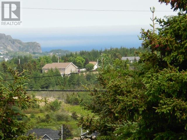 99 Church Road, Victoria, Newfoundland & Labrador  A0A 4G0 - Photo 13 - 1288212
