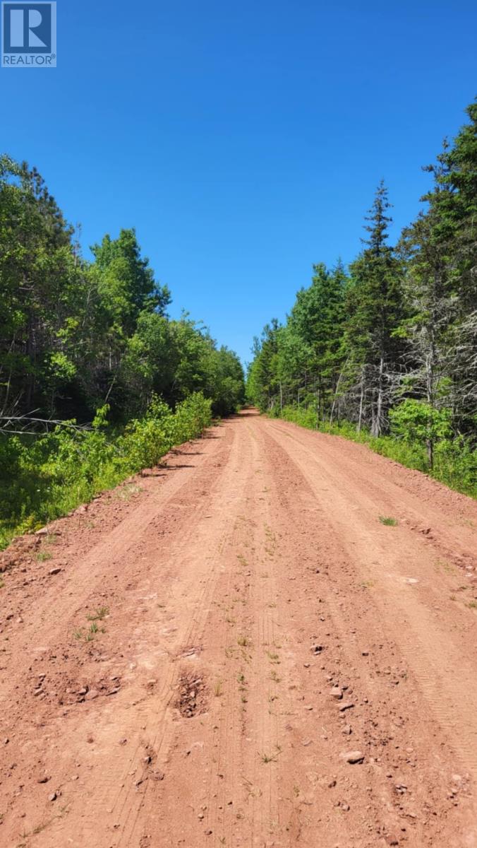 10 Swallow Point Road, Goose River, Prince Edward Island  C0A 2A0 - Photo 8 - 202425958