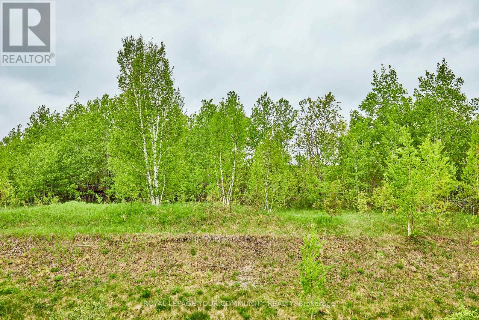 84 Lampkin Street, Georgina, Ontario  L0E 1R0 - Photo 47 - N12255418