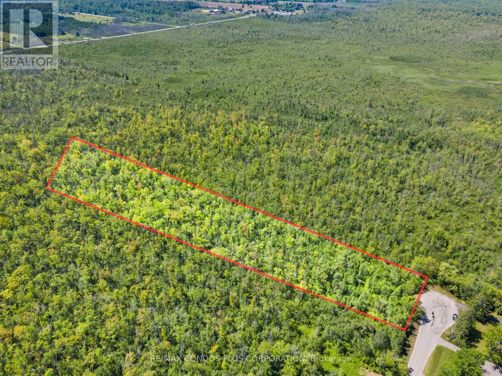 1 Donna Drive, Georgina, Ontario  L0E 1N0 - Photo 18 - N12306976