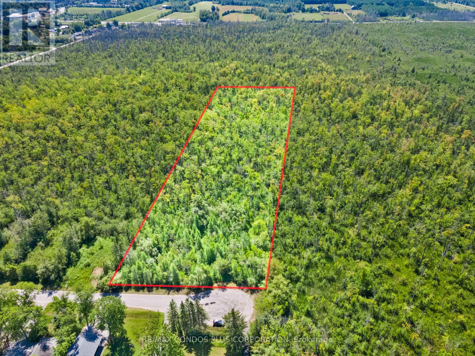 1 Donna Drive, Georgina, Ontario  L0E 1N0 - Photo 19 - N12306976