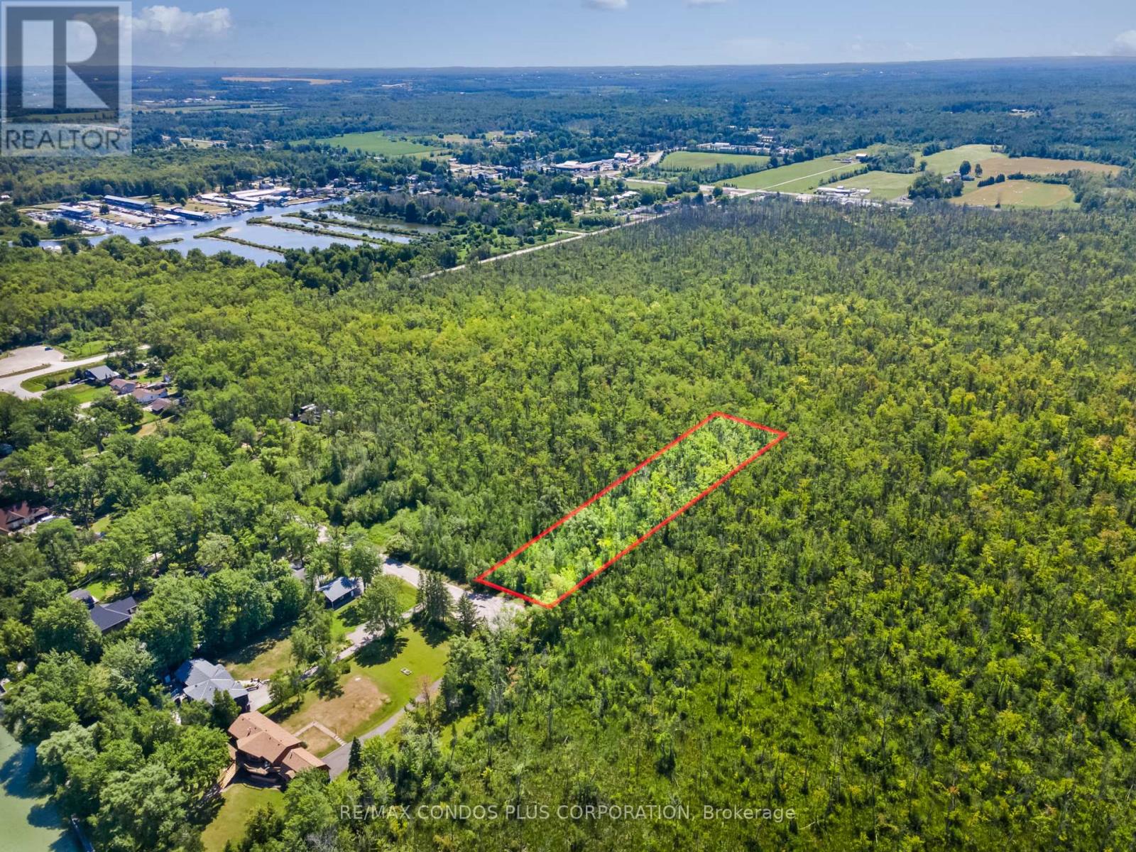 1 Donna Drive, Georgina, Ontario  L0E 1N0 - Photo 15 - N12306976