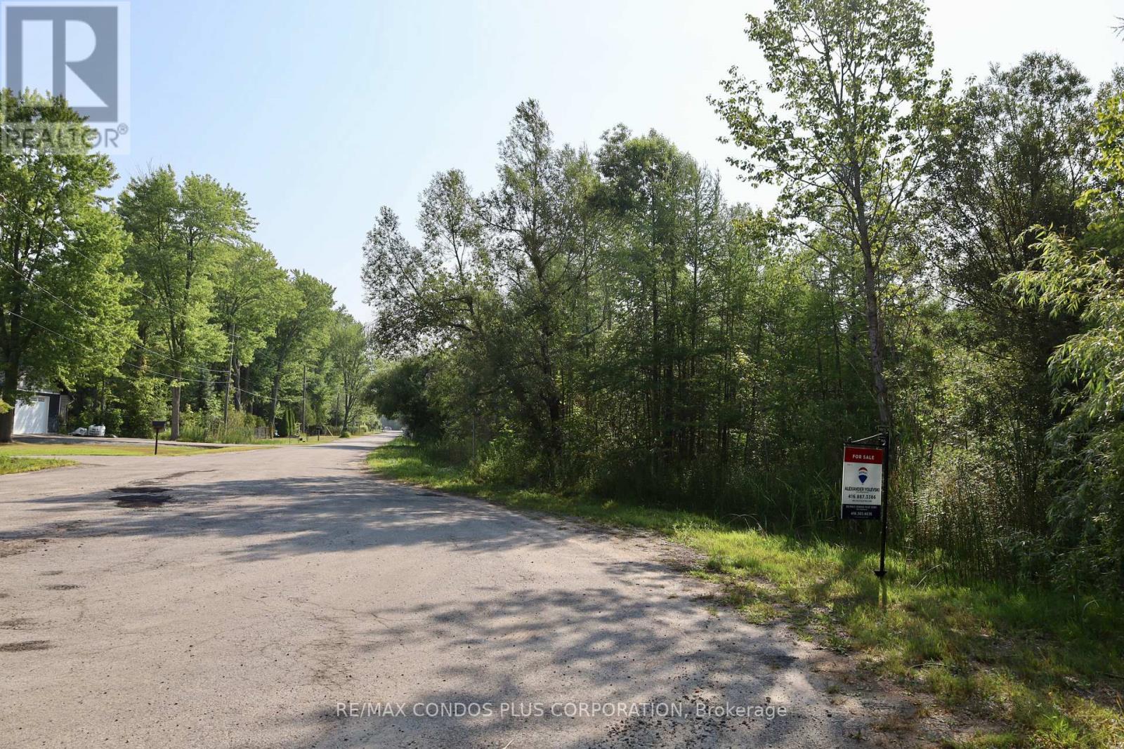 1 Donna Drive, Georgina, Ontario  L0E 1N0 - Photo 8 - N12306976
