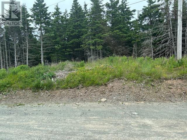 Salmon River Road, West L'ardoise, Nova Scotia  B0E 1S0 - Photo 2 - 202515952