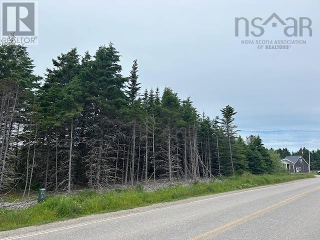 Salmon River Road, West L'ardoise, Nova Scotia  B0E 1S0 - Photo 4 - 202515952