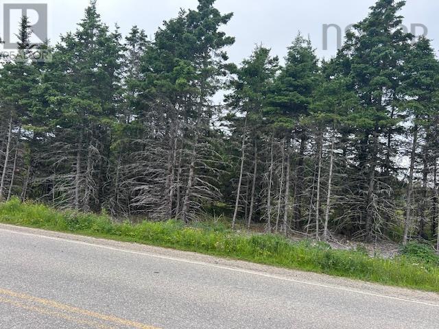 Salmon River Road, West L'ardoise, Nova Scotia  B0E 1S0 - Photo 3 - 202515952