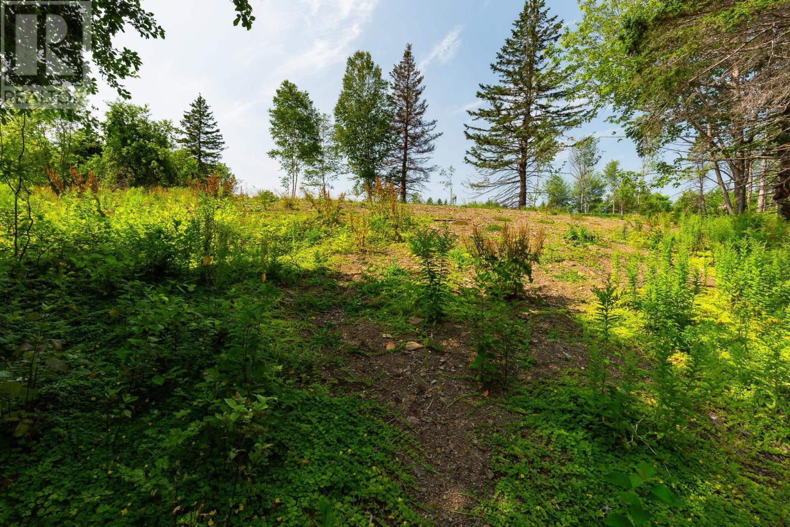 Lot 2 Highway 19, Hawleys Hill, Mabou, Nova Scotia  B0E 1X0 - Photo 13 - 202424379