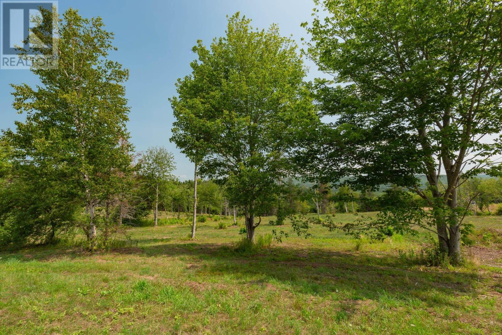 Lot 2 Highway 19, Hawleys Hill, Mabou, Nova Scotia  B0E 1X0 - Photo 10 - 202424379