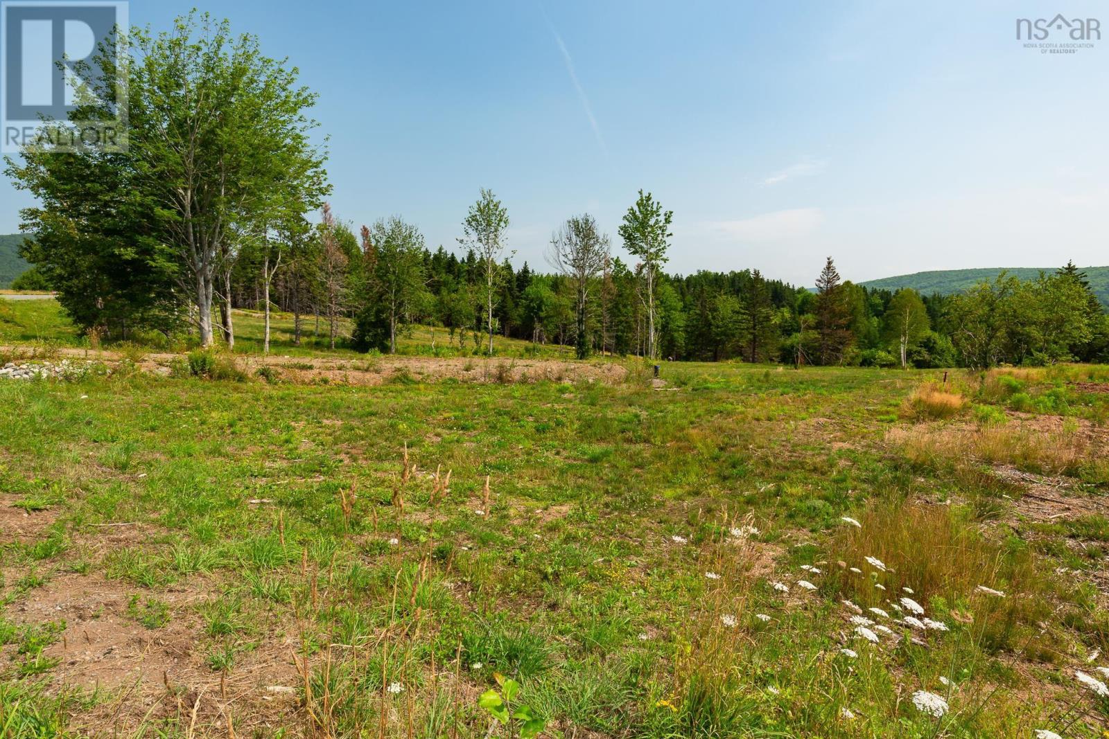 Lot 2 Highway 19, Hawleys Hill, Mabou, Nova Scotia  B0E 1X0 - Photo 8 - 202424379