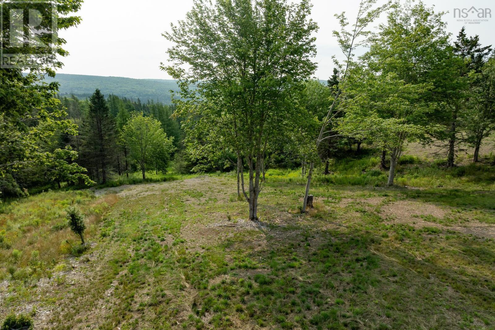 Lot 3 Highway 19, Hawleys Hill, Mabou, Nova Scotia  B0E 1X0 - Photo 3 - 202424380