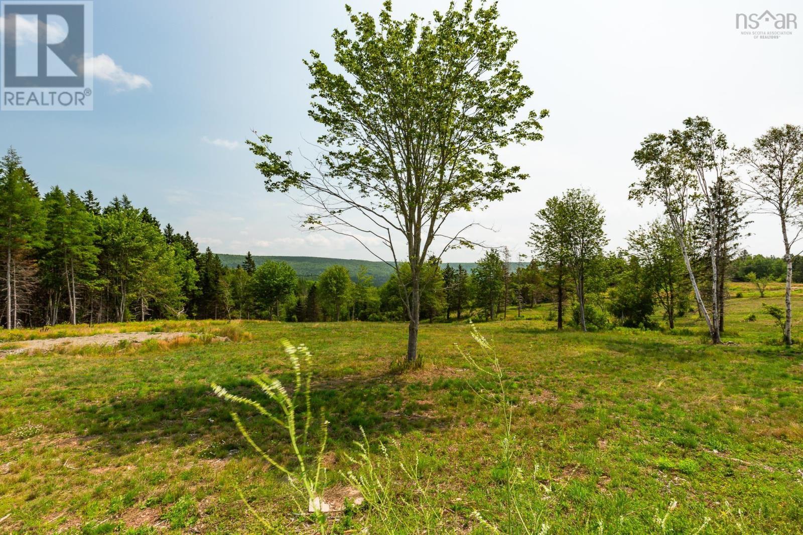 Lot 3 Highway 19, Hawleys Hill, Mabou, Nova Scotia  B0E 1X0 - Photo 8 - 202424380