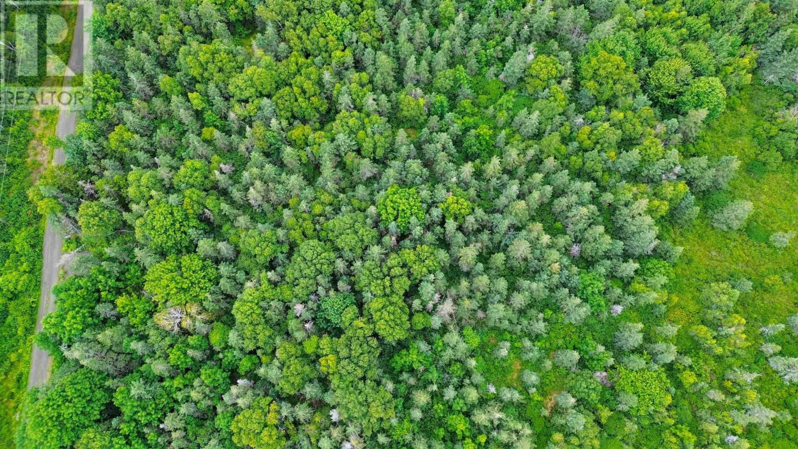 Lot 3 Hampton Mountain Road, Hampton, Nova Scotia  B0S 1L0 - Photo 7 - 202403731