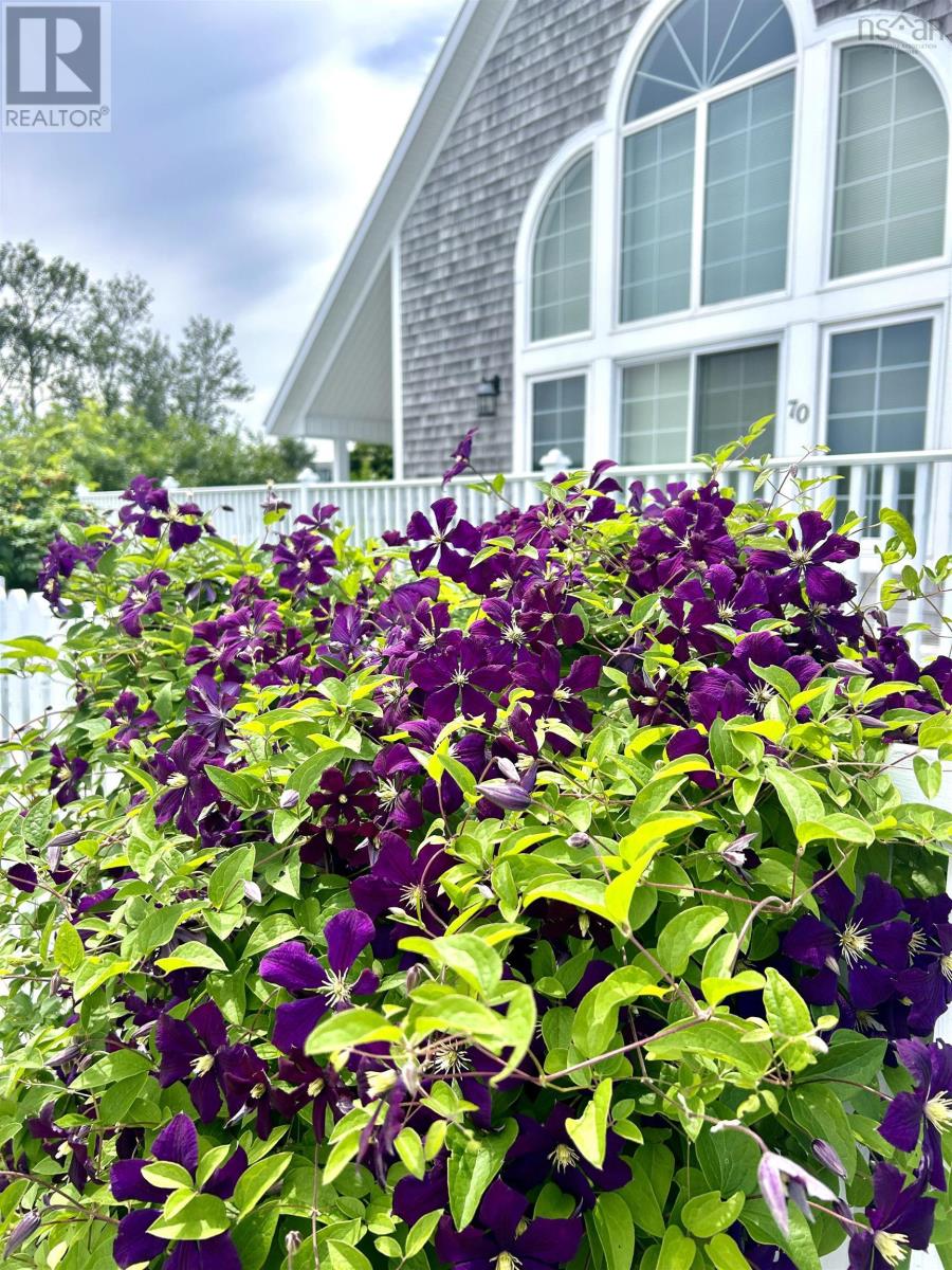 70 Water Street, Baddeck, Nova Scotia  B0E 1B0 - Photo 2 - 202511297