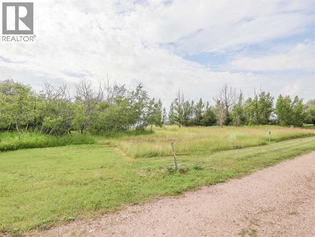 On 4th Street, Gadsby, Alberta  T0C 1K0 - Photo 11 - A2247275