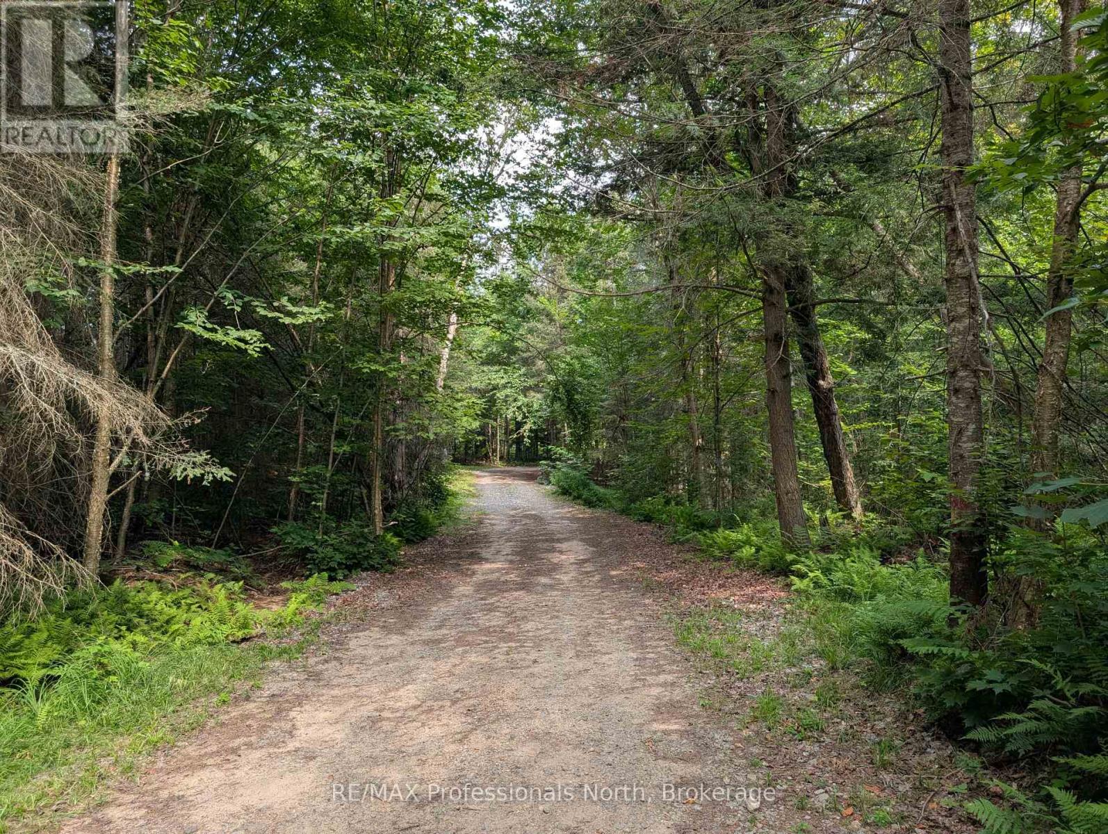 22 Mill Road, Parry Sound Remote Area, Ontario  P0A 1X0 - Photo 22 - X12336894