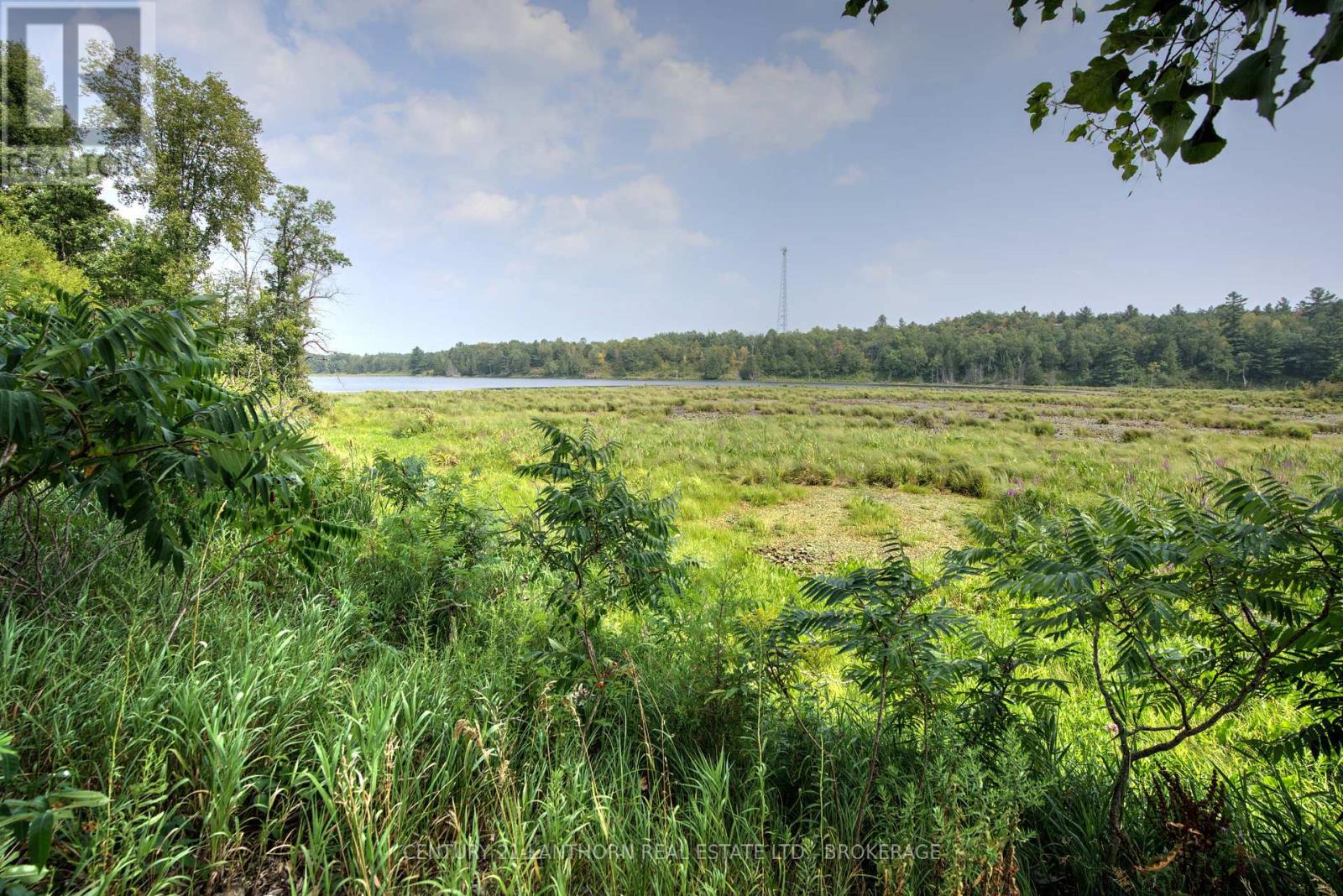 2905 County Rd 15 Road, Stone Mills, Ontario  K0K 3G0 - Photo 16 - X12337142