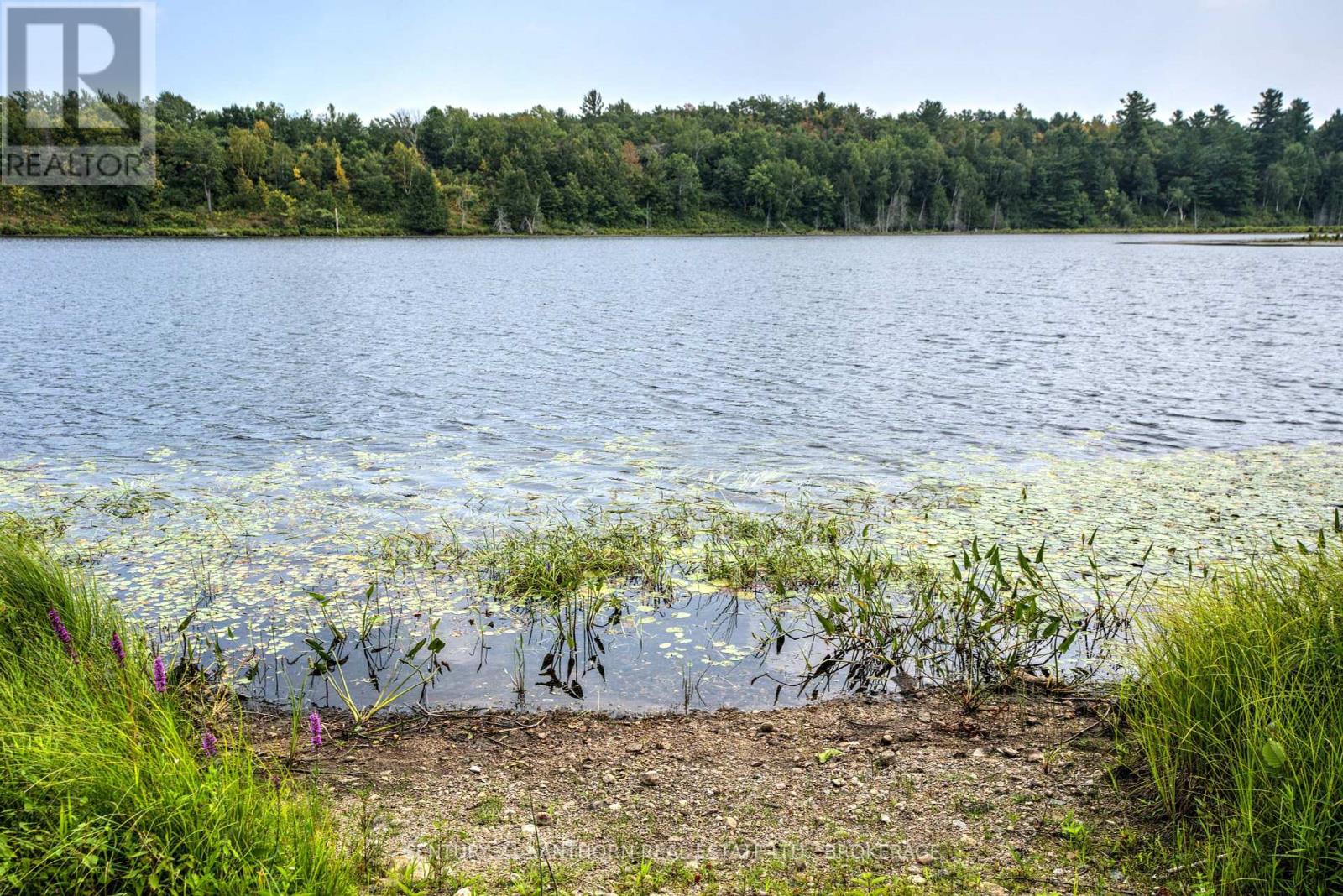 2905 County Rd 15 Road, Stone Mills, Ontario  K0K 3G0 - Photo 37 - X12337142