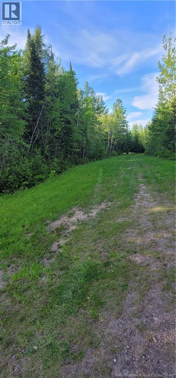 Lot Bryson Road, Nasonworth, New Brunswick  E3B 8E4 - Photo 4 - NB124651