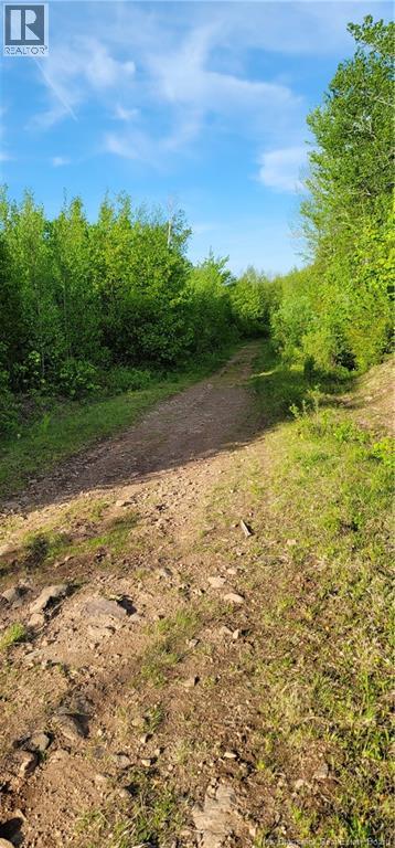 Lot Bryson Road, Nasonworth, New Brunswick  E3B 8E4 - Photo 5 - NB124651