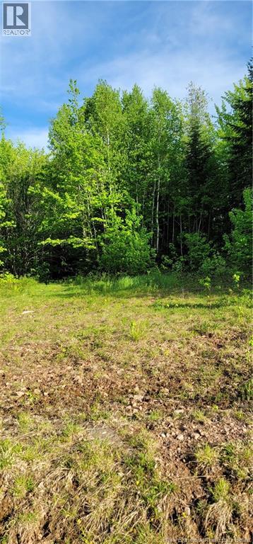 Lot Bryson Road, Nasonworth, New Brunswick  E3B 8E4 - Photo 6 - NB124651