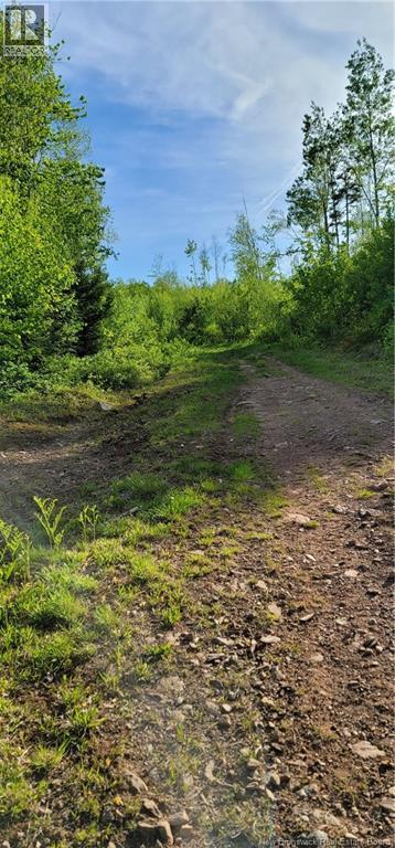 Lot Bryson Road, Nasonworth, New Brunswick  E3B 8E4 - Photo 7 - NB124651