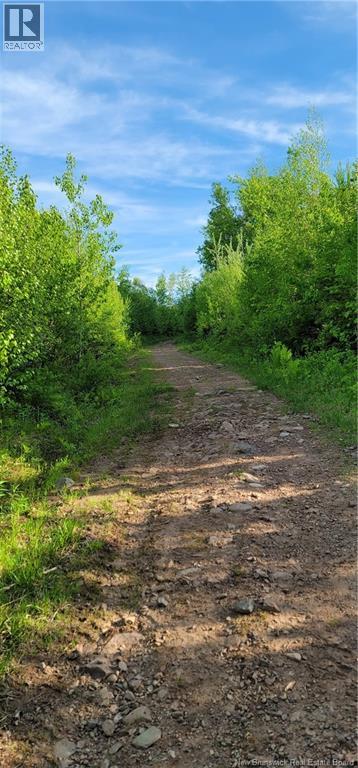 Lot Bryson Road, Nasonworth, New Brunswick  E3B 8E4 - Photo 9 - NB124651
