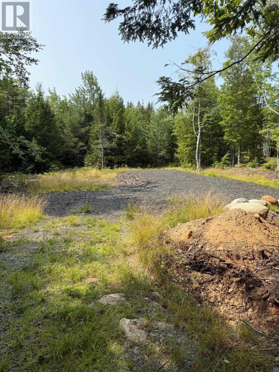 Lot Pid#60724341 Dauphinee Road, Cookville, Nova Scotia  B4V 7R7 - Photo 3 - 202520118