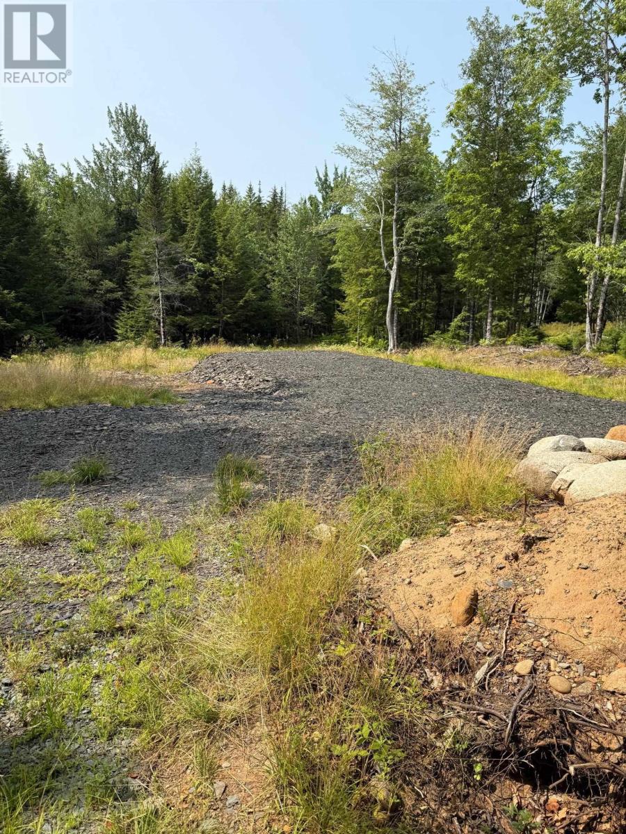 Lot Pid#60724341 Dauphinee Road, Cookville, Nova Scotia  B4V 7R7 - Photo 5 - 202520118