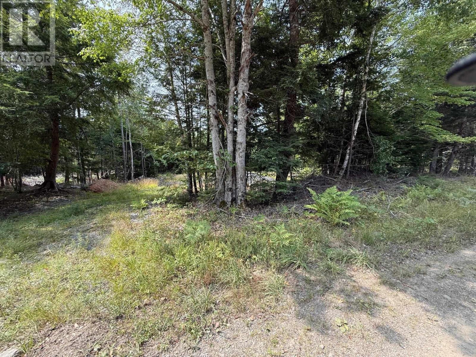 Lot Pid#60724341 Dauphinee Road, Cookville, Nova Scotia  B4V 7R7 - Photo 2 - 202520118
