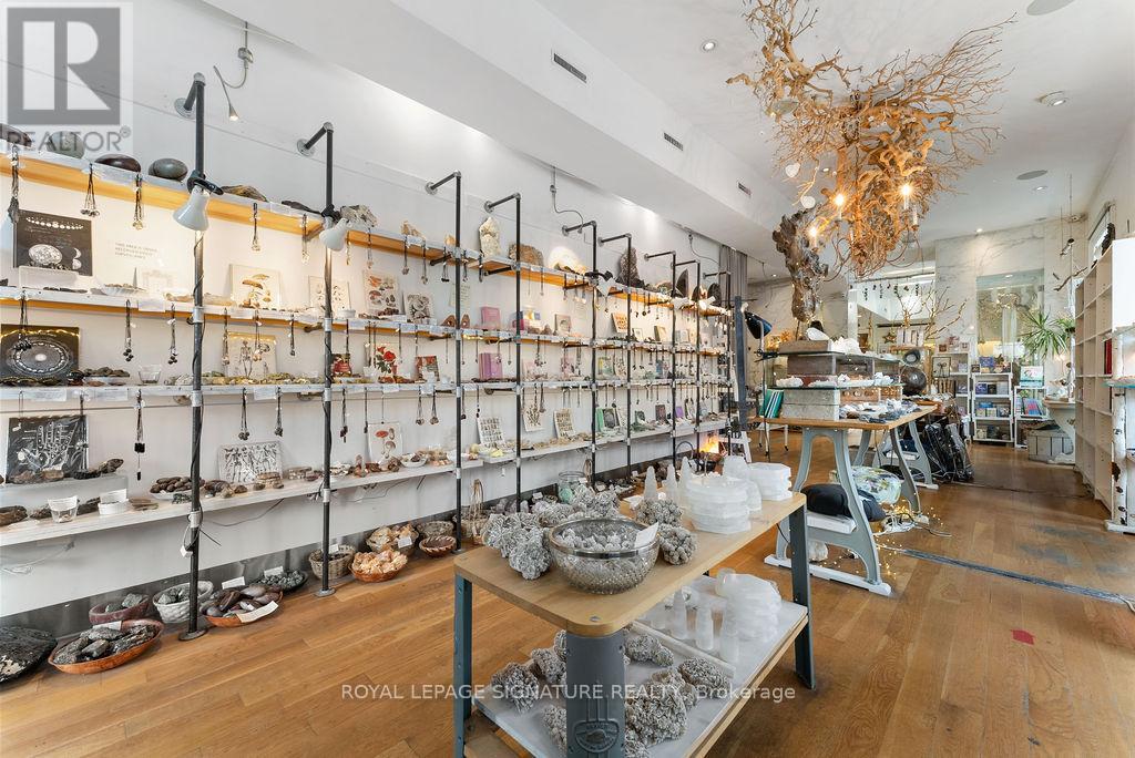 169 Brunswick Avenue, Toronto (Annex), Ontario  M5S 2M4 - Photo 13 - C12337159