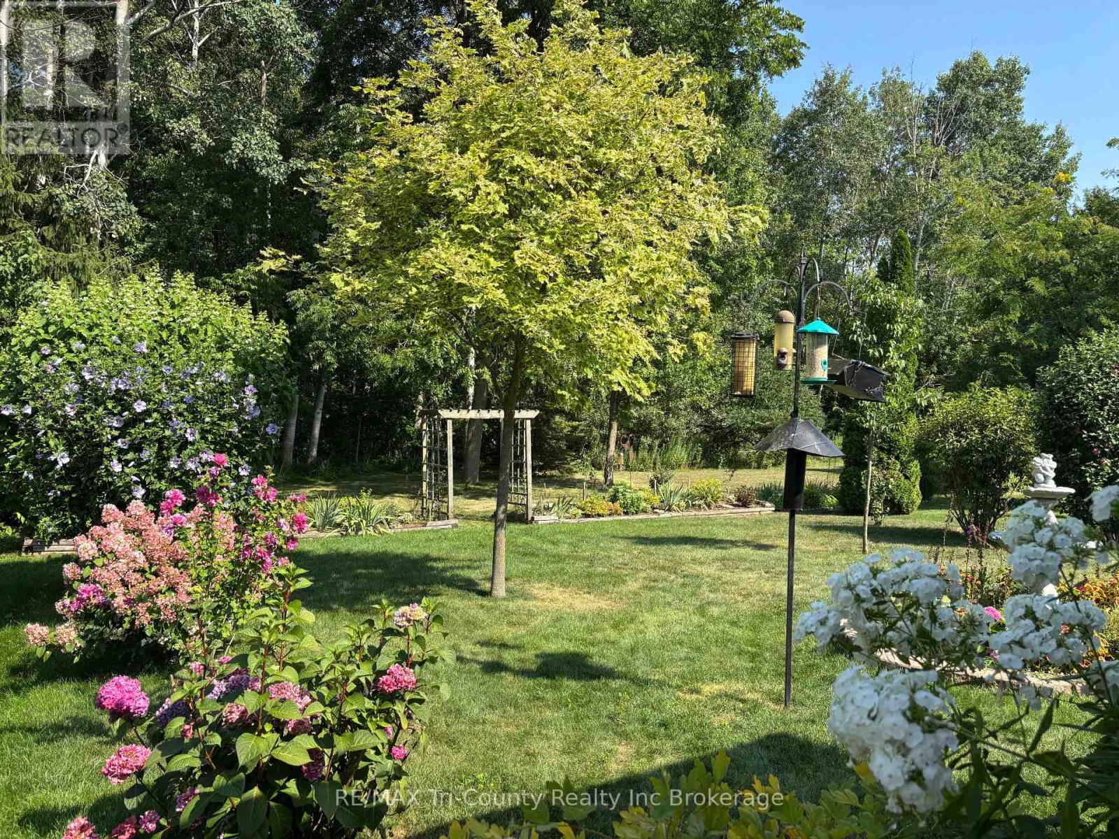 102 Wilson Avenue, Tillsonburg, Ontario  N4G 5T2 - Photo 4 - X12237885
