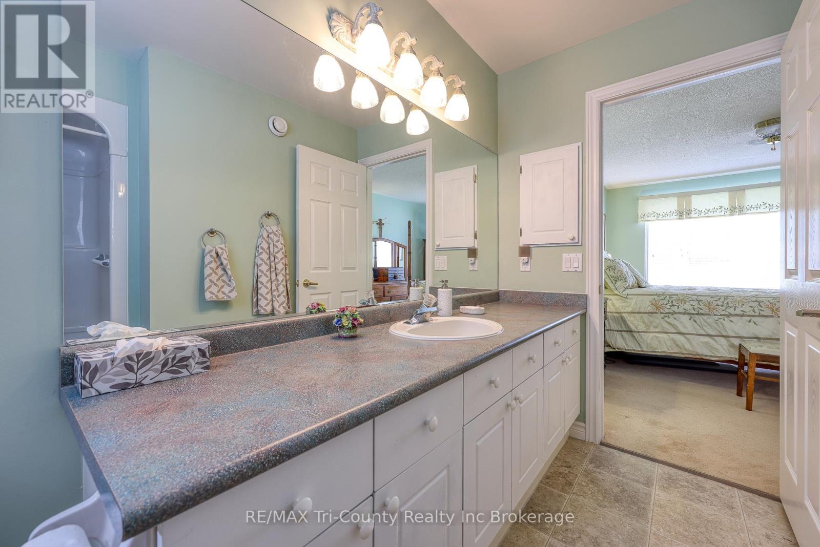 102 Wilson Avenue, Tillsonburg, Ontario  N4G 5T2 - Photo 27 - X12237885