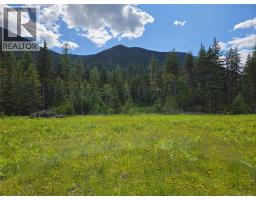 3809 PASSMORE UPPER Road, passmore, British Columbia