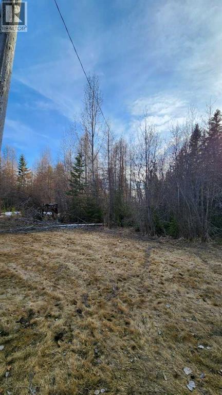 71037 Township Road 39-3, Rural Clearwater County, Alberta  T0M 0C0 - Photo 6 - A2214041