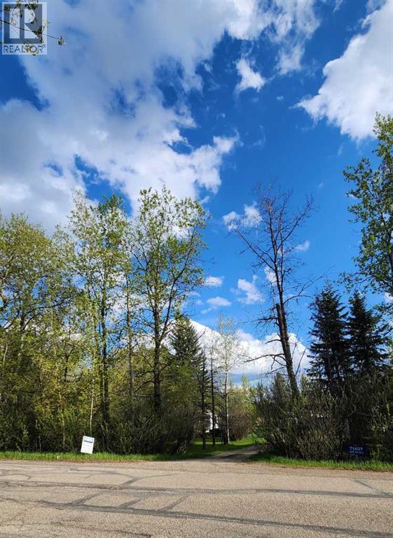 71037 Township Road 39-3, Rural Clearwater County, Alberta  T0M 0C0 - Photo 3 - A2214041