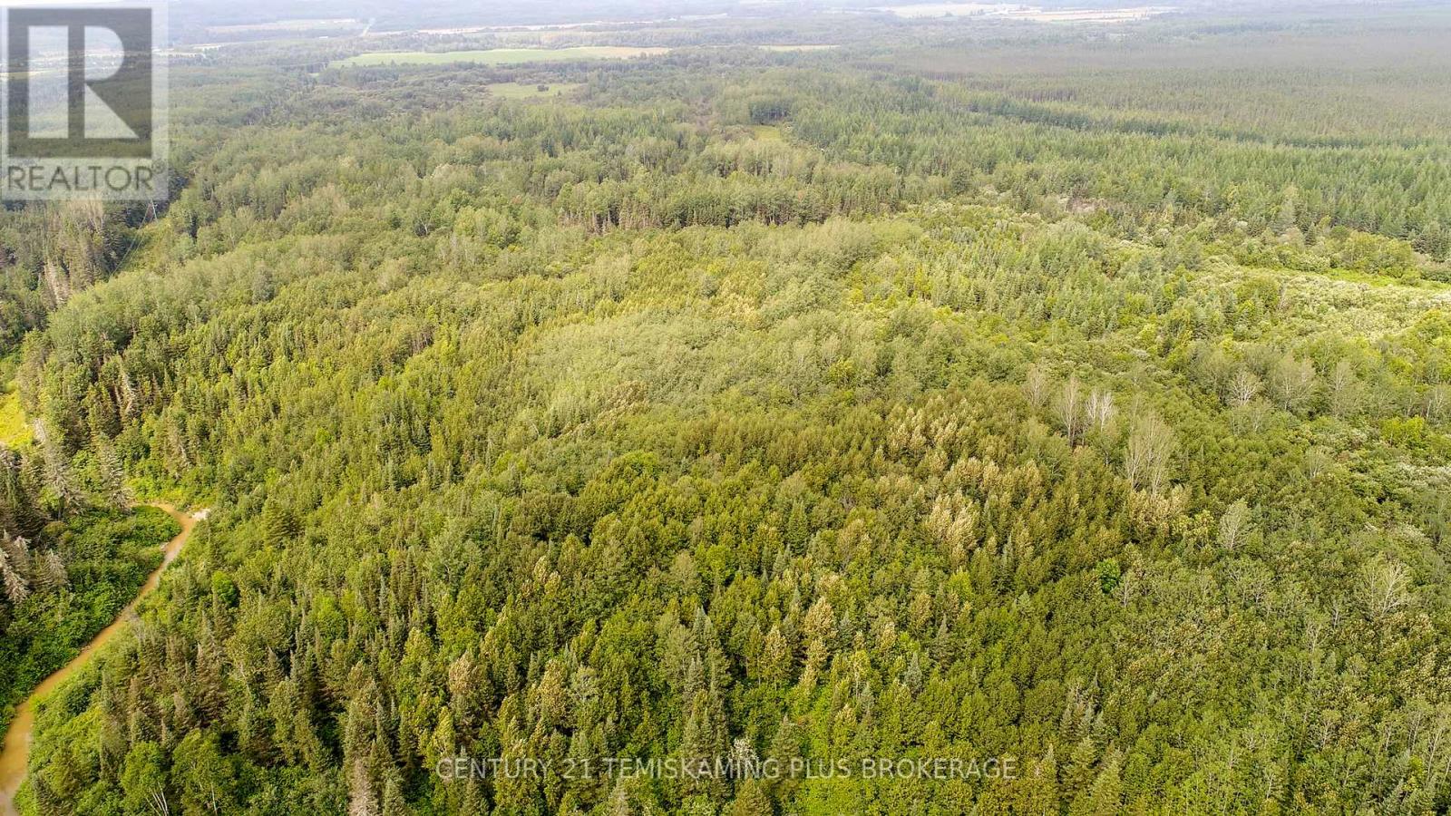 455054 First Street, Englehart, Ontario  P0J 1H0 - Photo 44 - T12337441