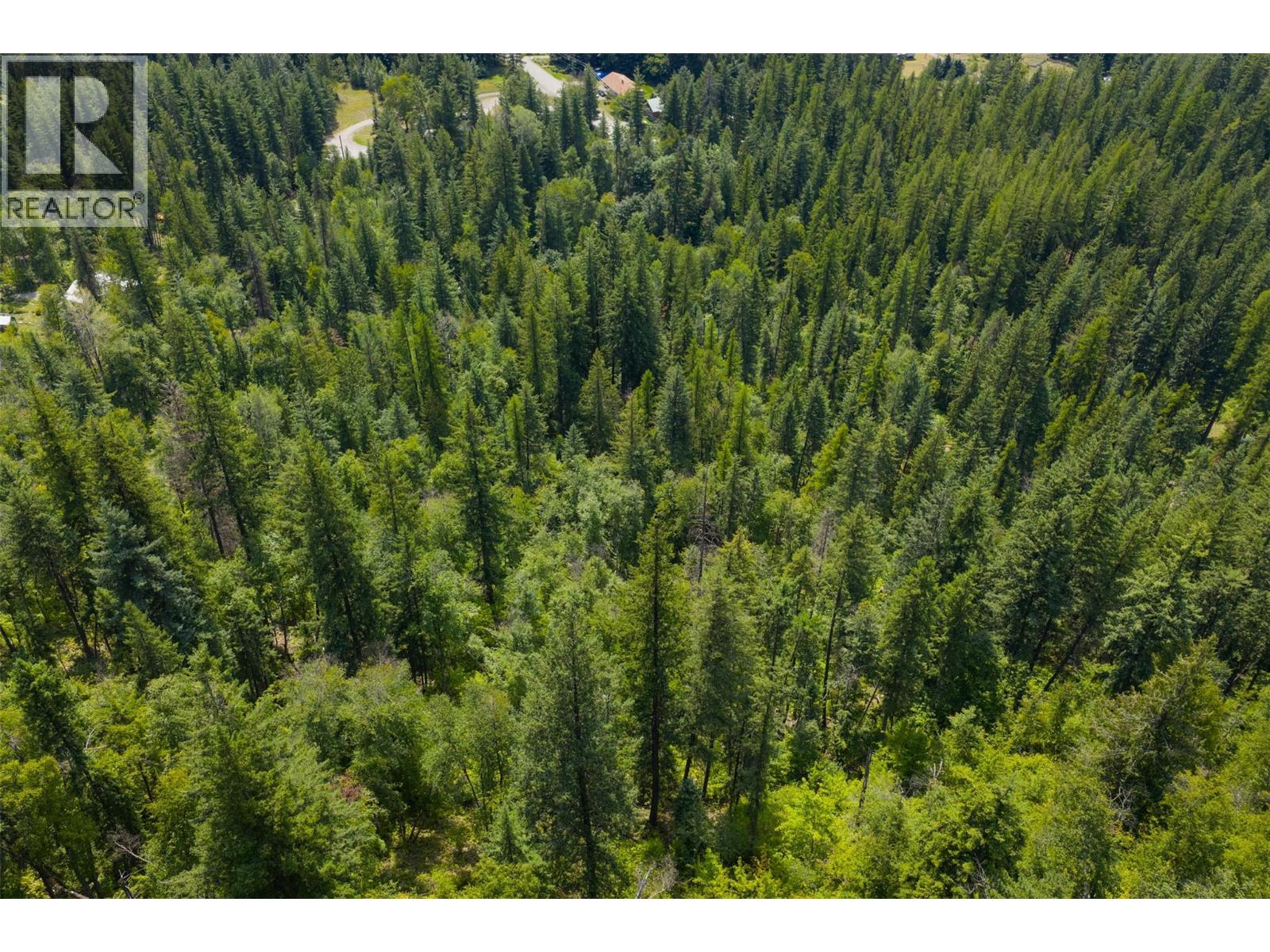 1506 Highway 31a Highway, New Denver, British Columbia  V0G 1S0 - Photo 60 - 10358773